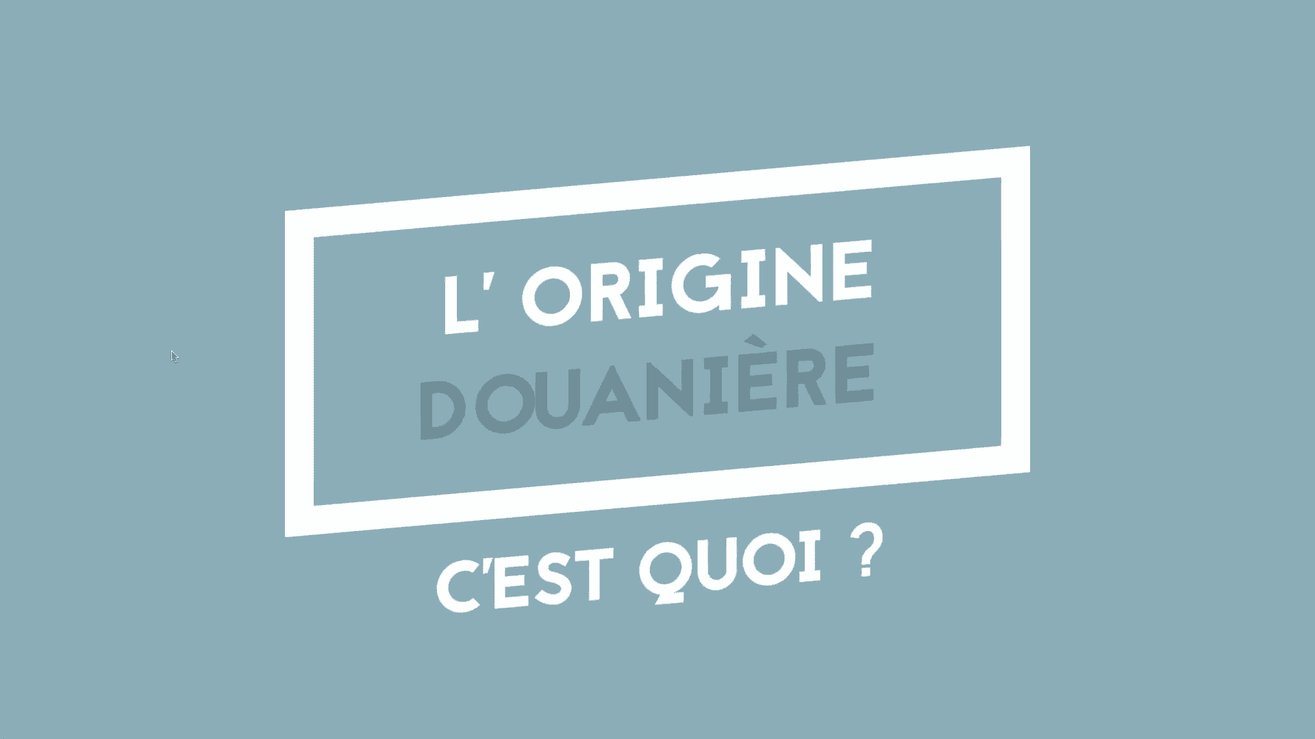 L'origine douanière